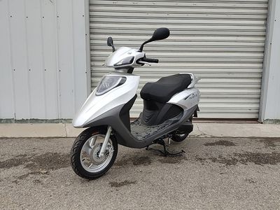 Feiken  FK100T3E Two wheeled motorcycles