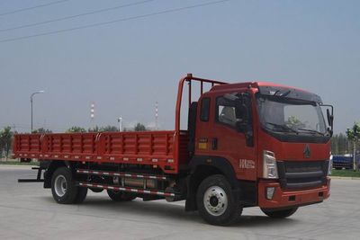 Haowo  ZZ1187G451DE1L Truck