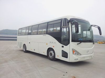 Wuzhoulong  WZL6110NA51 coach