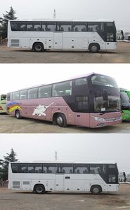 Yutong  ZK6118HQY8Y coach