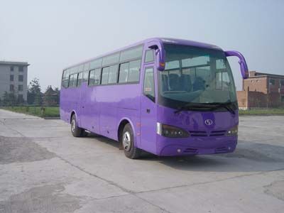 Shaolin  SLG6120CA coach