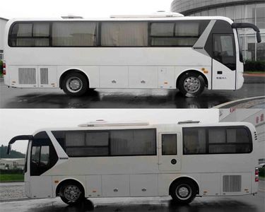 Wanda  WD6900HDA1 coach