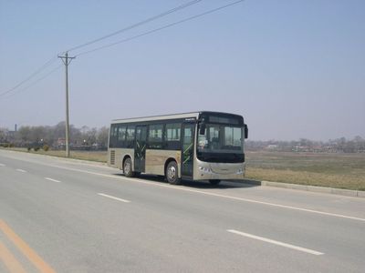 CSR Times TEG6850NG City buses