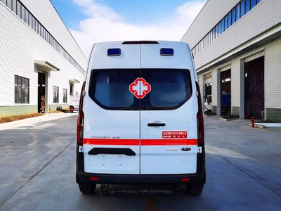 Longmu Shuangxing  LMX5030XJHJX6 ambulance