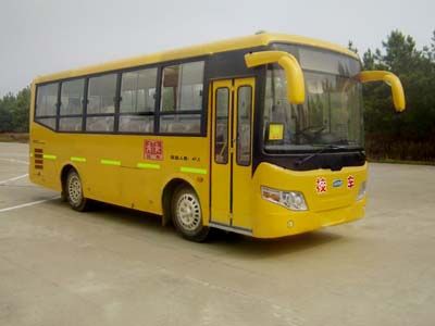 Heke  HK6770HX Elementary school bus