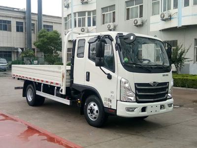 Foton  BJ1046V9PBA53 Truck