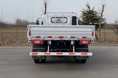 Foton  BJ1045V9JDAAB1 Truck