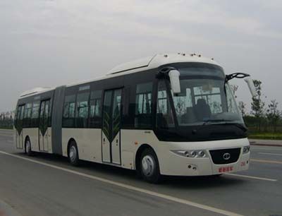 Shudu  CDK6160CA Articulated bus