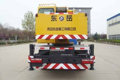 Dongyue  TA5110JQZGT8H3D Car crane