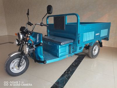 Pioneer Century Star XF1500DZH3 Electric tricycle