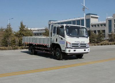 Foton  BJ1103VGPEAA2 Truck