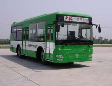 Shaolin  SLG6100T4GER City buses