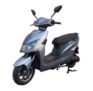 Hariway HLW2000DT2 Electric two wheeled motorcycle