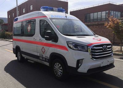 Shijie Hongyan  RF5041XJH ambulance