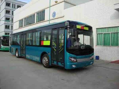 Wuzhoulong  FDG6113EVG Pure electric city buses