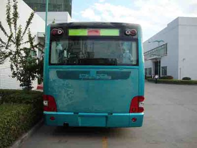 Wuzhoulong  FDG6113EVG Pure electric city buses