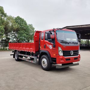 Ace carCDW3164K471EFADump truck