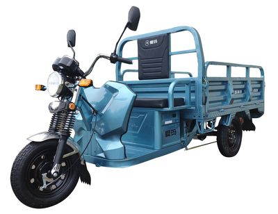 Emma  AM1000DZHN Electric tricycle