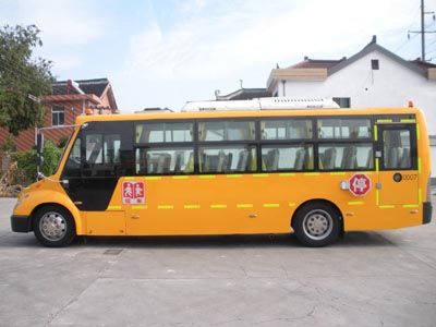 Friendship  ZGT6920DVX School buses exclusively for primary school students