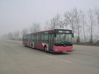 Huanghai  DD6181S02 City buses