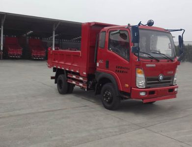 Ace car CDW3082HA1P4 Dump truck