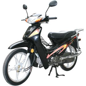 Lifan  LF1007V Two wheeled motorcycles