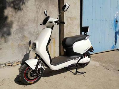 Green Wind  LF1200DT2 Electric two wheeled motorcycle