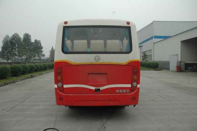 Nanjun  CNJ6660LQDM coach