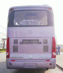 Wuzhoulong  FDG6123F1 coach