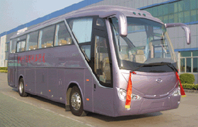 Wuzhoulong  FDG6123F1 coach