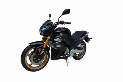 Dayun  DY2503 Two wheeled motorcycles