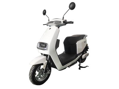 Dayang DY800DQT2Electric two wheeled light motorcycle