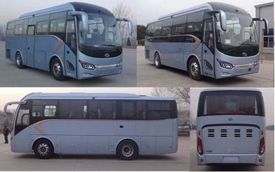 Jinlong  XMQ6821CYN5D coach