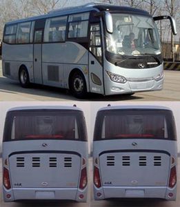 Jinlong  XMQ6821CYN5D coach