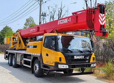 Sany SYM5325JQZ25ECar crane