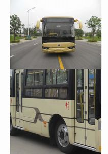 Yaxing  JS6851GHP City buses