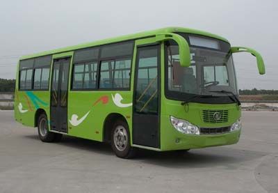 Huaxin brand automobilesHM6850DGCity buses