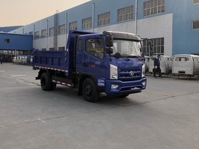 Shifeng  SSF3046DDP53C1 Dump truck