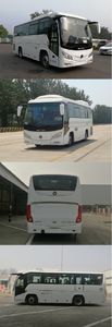 Foton  BJ6852U6ACB coach