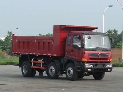 Ace car CDW3220A1E3 Dump truck