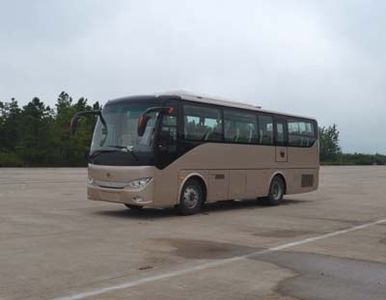 Ankai  HFF6909KC1E5B coach