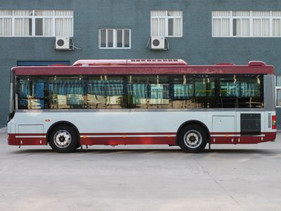 FORTA FZ6895UFD4 City buses