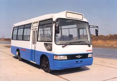 Huling brand automobiles HL6702CG coach