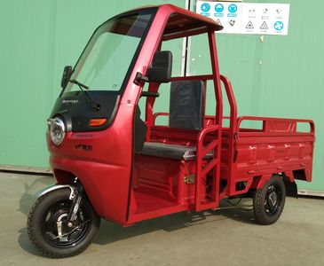 Jinpeng  JP1000DZH5B Electric tricycle