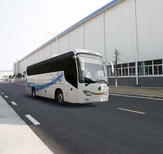 Dongfeng  DHZ6120Y1 coach