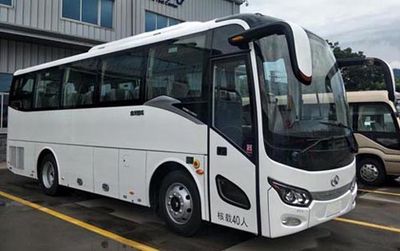 Jinlong  XMQ6885AYD6T coach