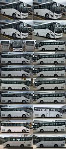 Jinlong  XMQ6885AYD6T coach