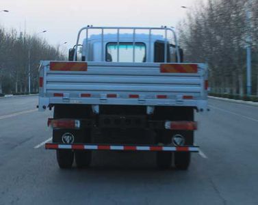 Foton  BJ1185VKPFKFG Truck