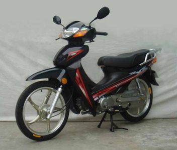 Sanling  SL1102 Two wheeled motorcycles