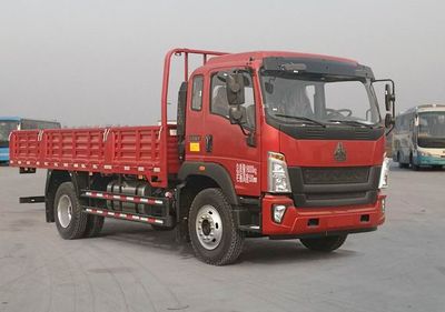 Haowo  ZZ1187K421DF1 Truck